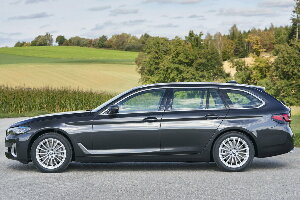 Коврик ЭВА "" для BMW 5-Series VII (универсал / G31) 2020 - Н.В., ые, 1шт.